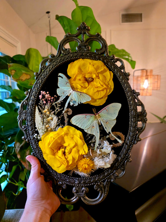 Vintage Italian Frame with Luna Moths