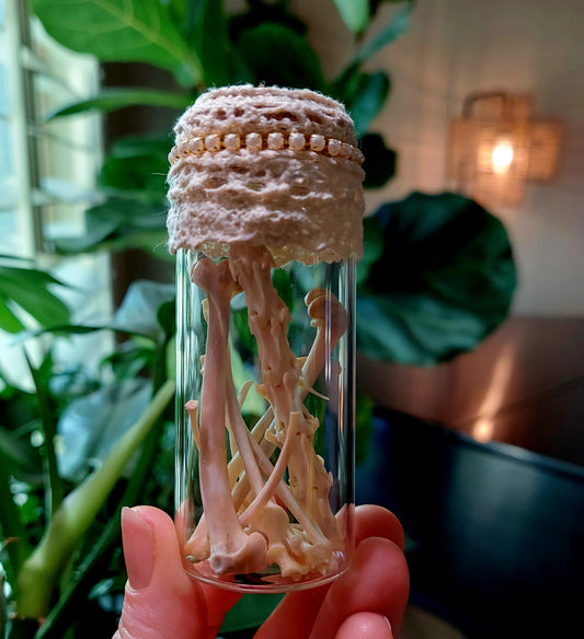 Fancy Mini Curio Vial with Assorted Bones #3