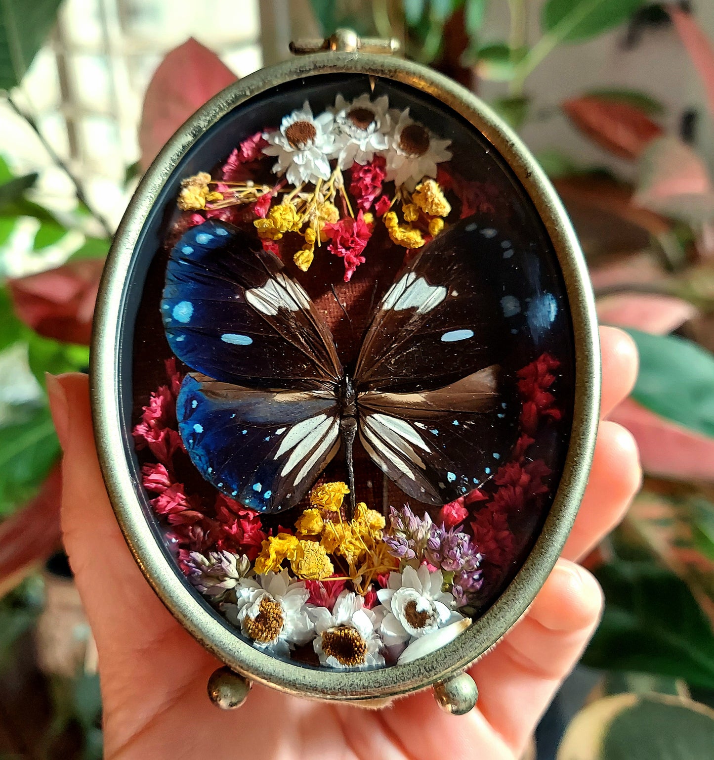 Small Vintage Bubble Frame with Butterflies and Flowers