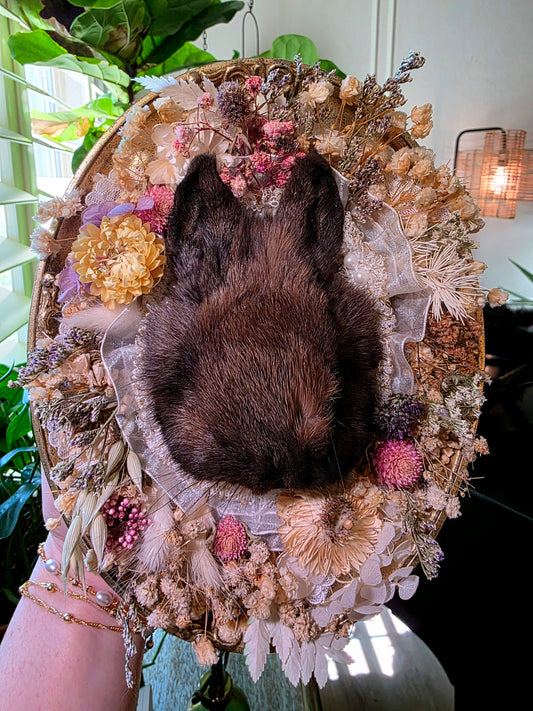 Real Preserved Bunny with Dried Flowers