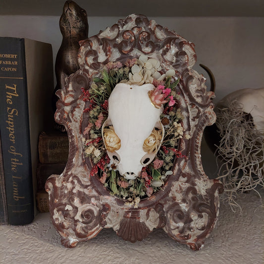 Vintage frame with Real Mink Skull and Dried Flowers