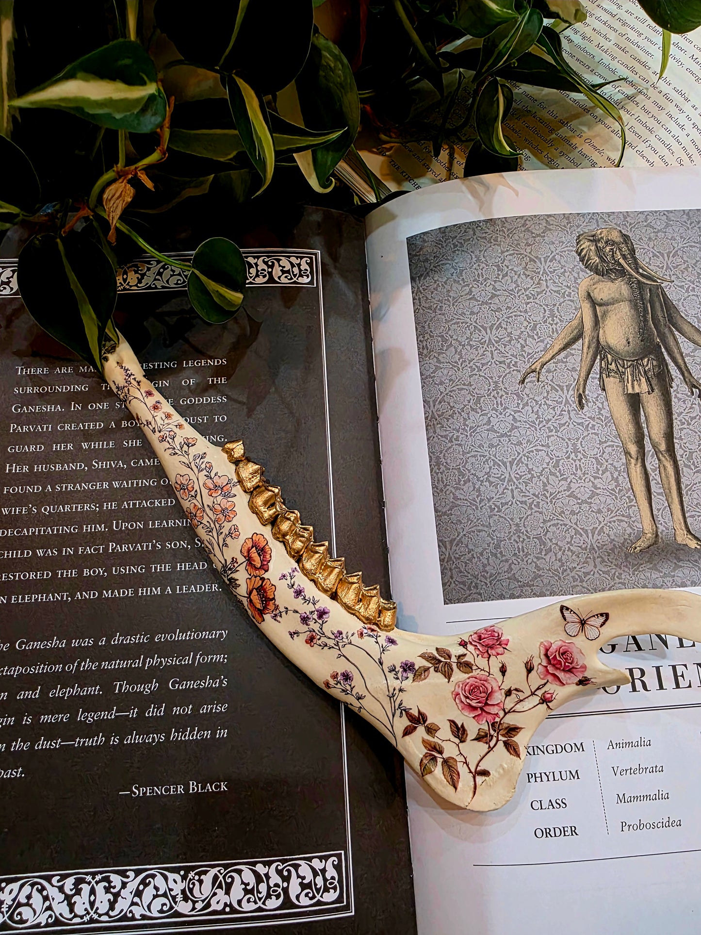 Decorative Deer Jaw Bone (D)