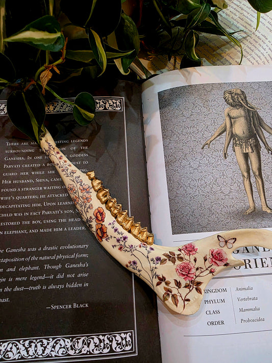 Decorative Deer Jaw Bone (D)