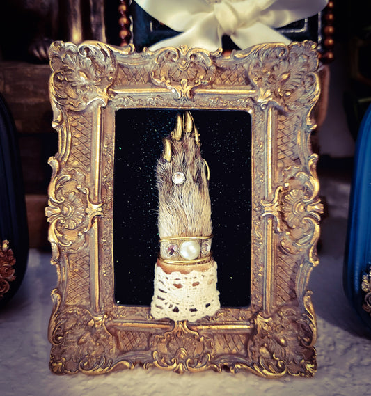 Framed Fancy Raccoon Foot - Gold Frame with Diamond and Pearls