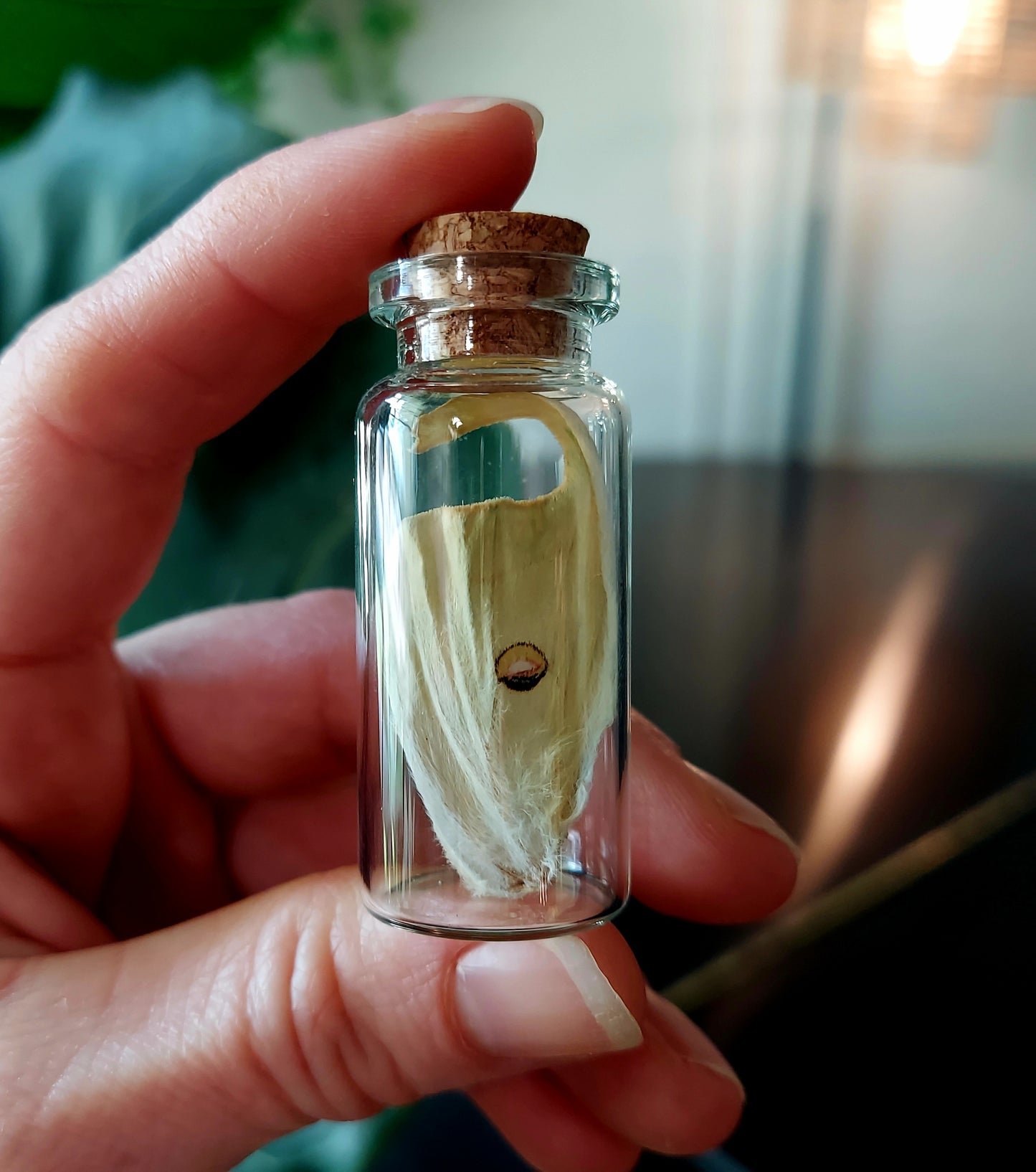 Luna Month Mini Curio Vial