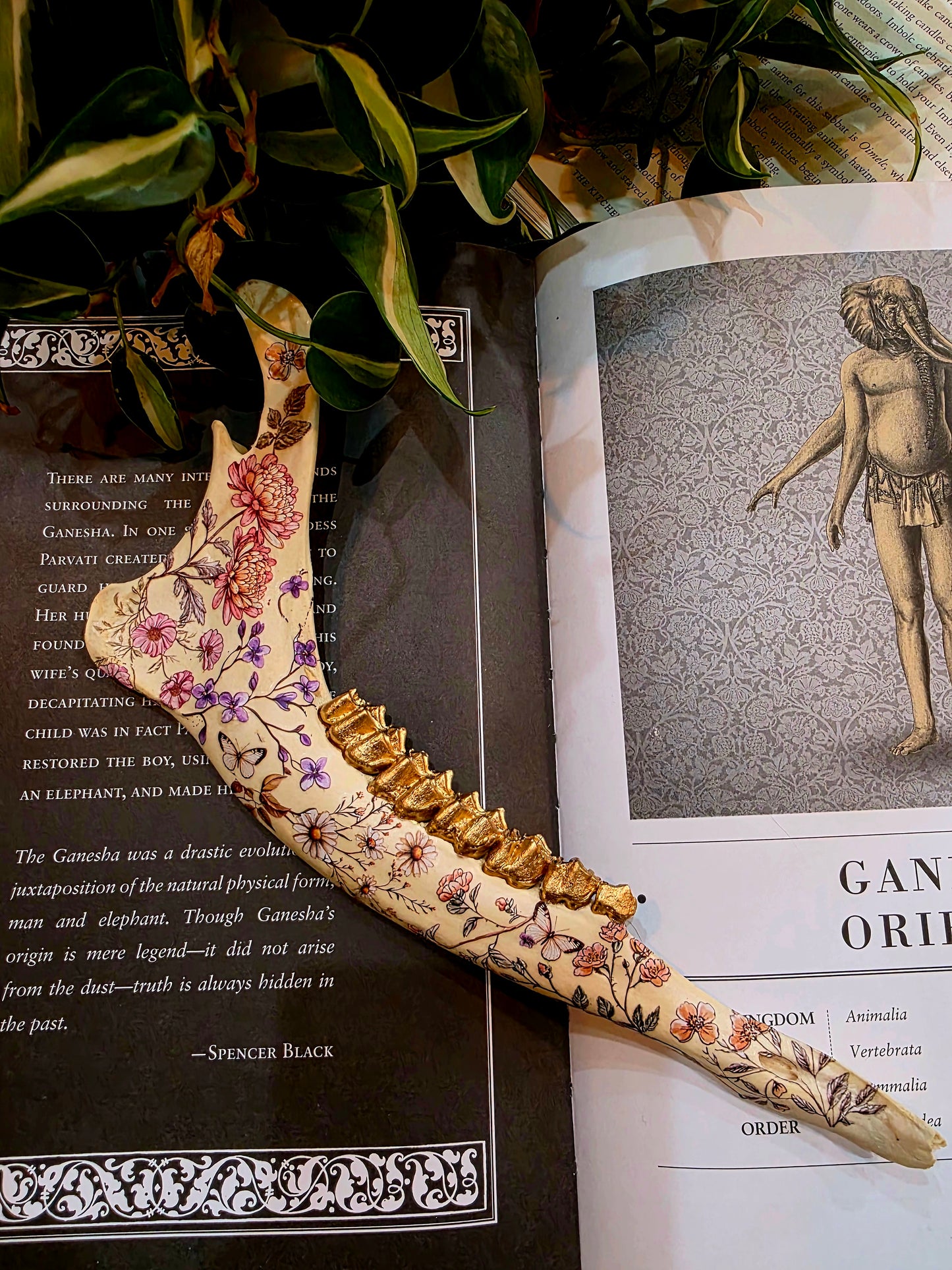 Decorative Deer Jaw Bone (A)