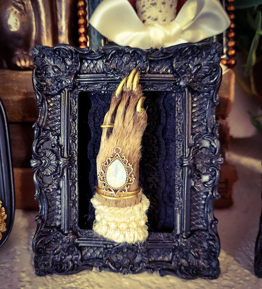 Framed Fancy Raccoon Foot - Black Frame with Jewel and Pearls