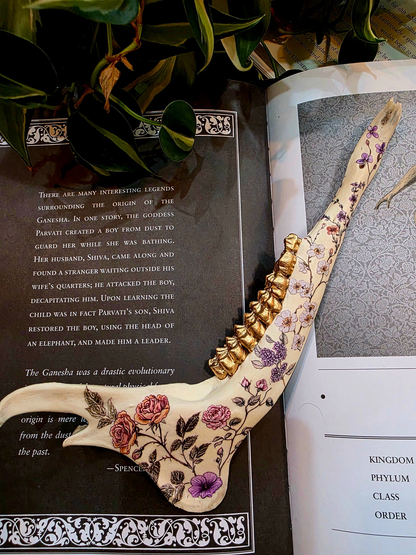 Decorative Deer Jaw Bone (C)