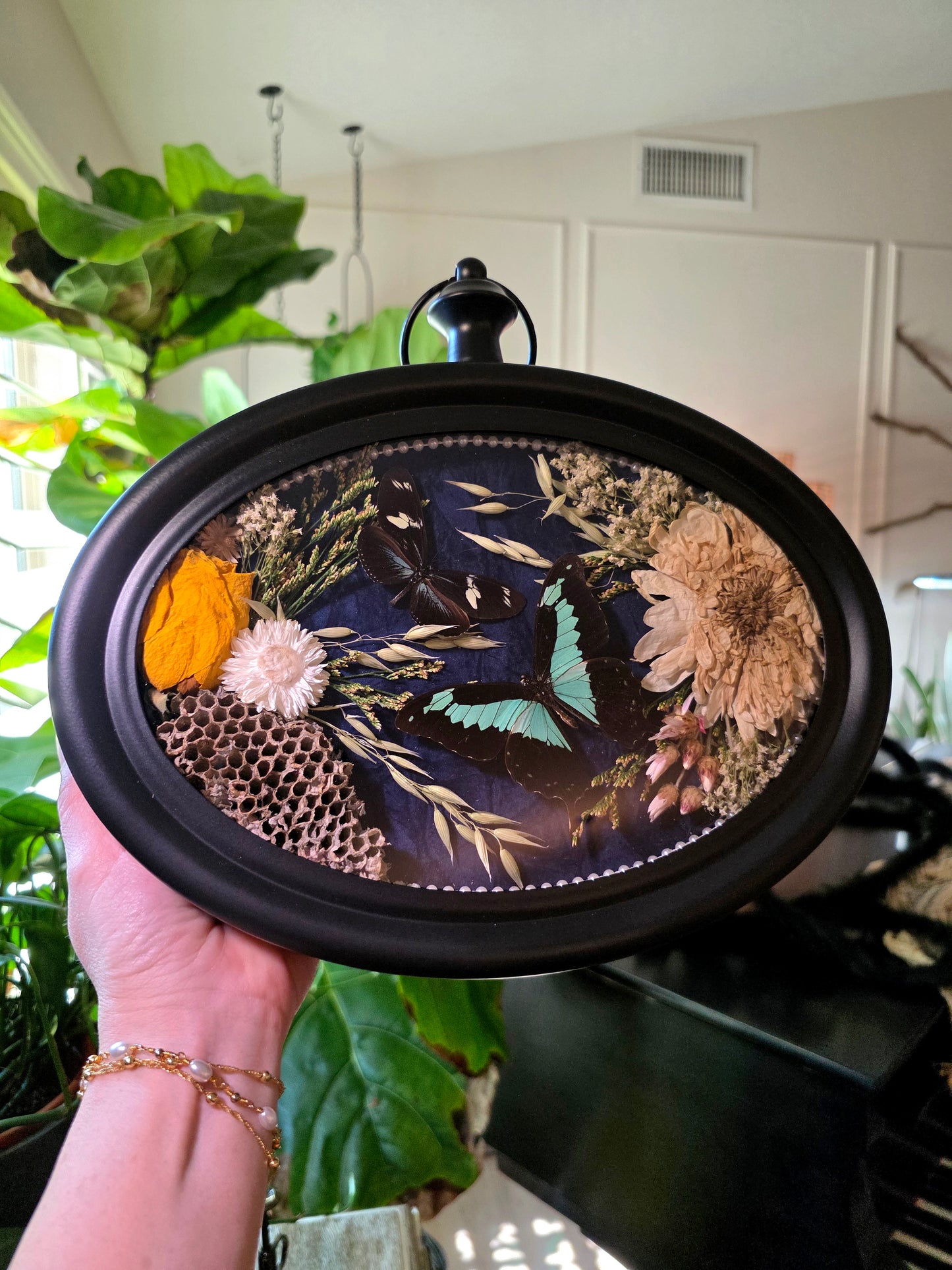 Clock Frame with Butterflies and Wasp Nest