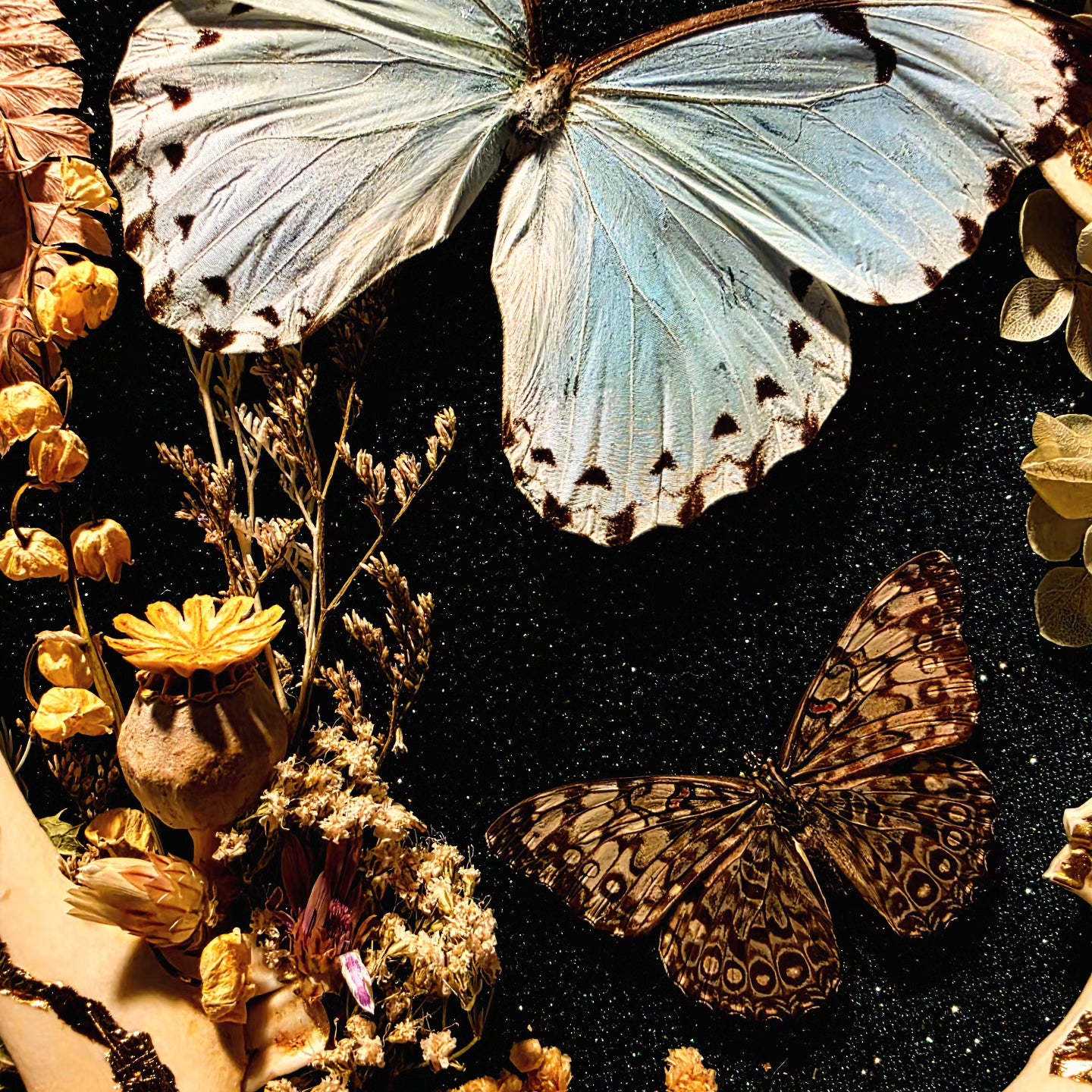 Vintage Frame with Deer Jaw Bones and Butterflies