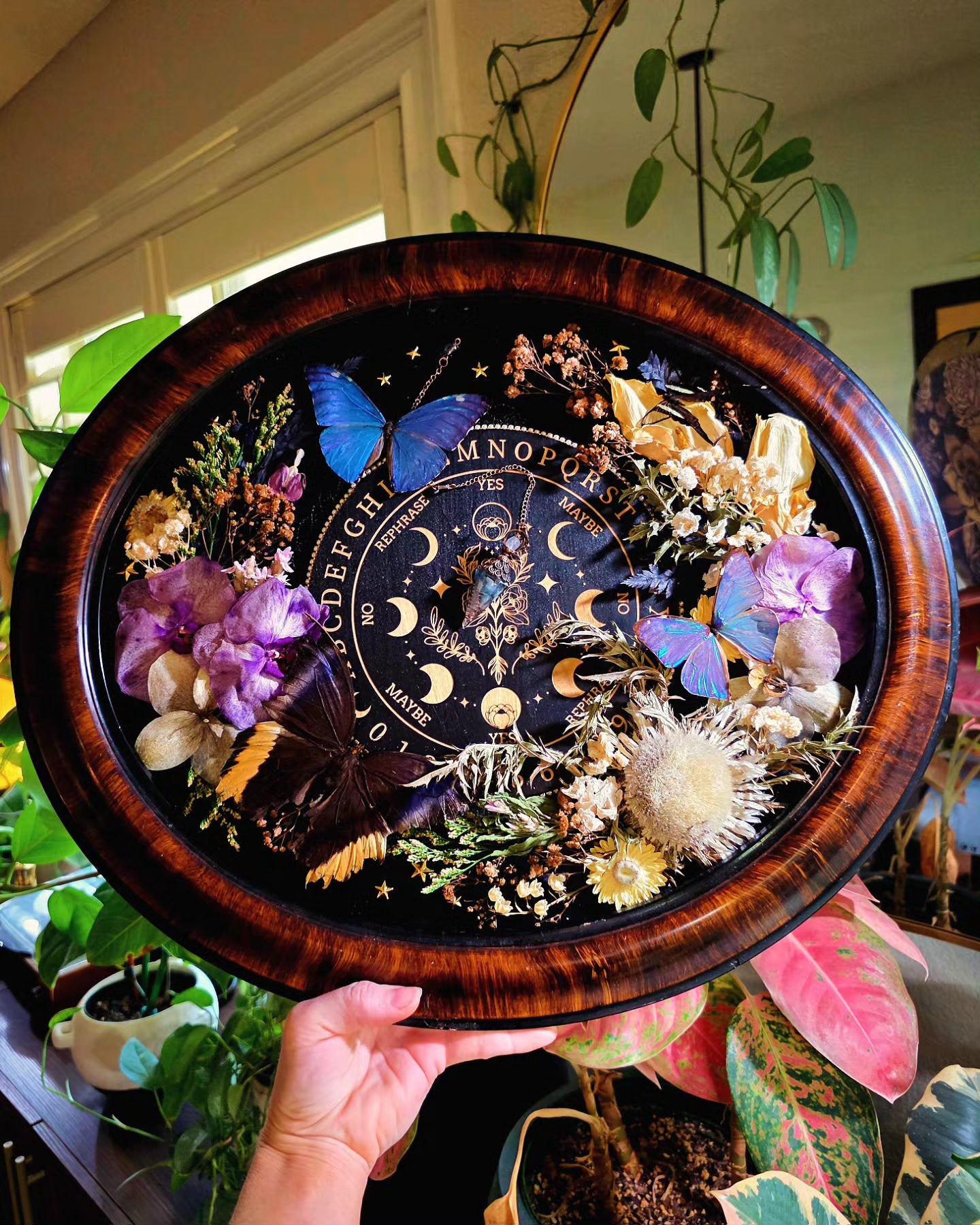 Pendulum Board and Butterfly Vintage Frame