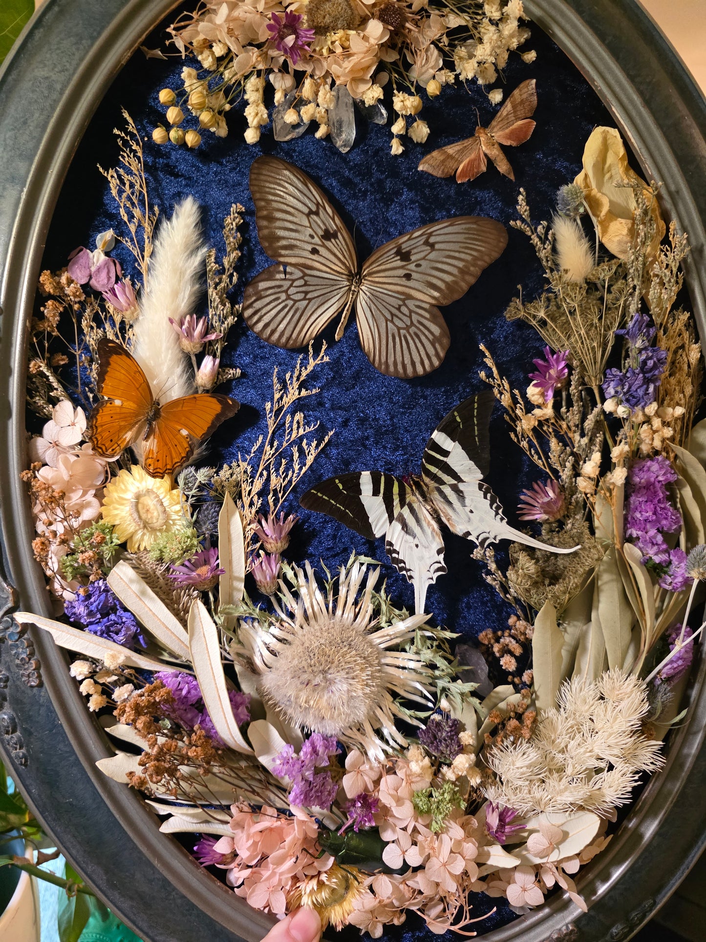 Vintage Botanical Frame with Butterflies