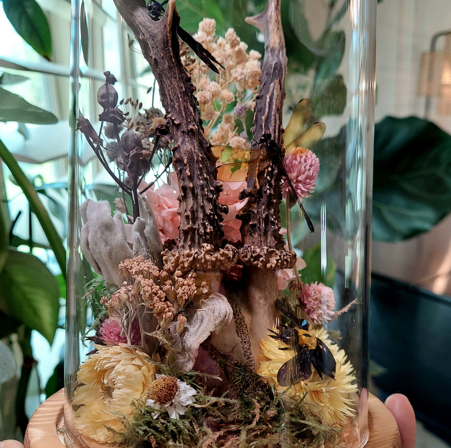 Large Terrarium with Roe Deer Antlers, Damselflies, and Carpenter Bee