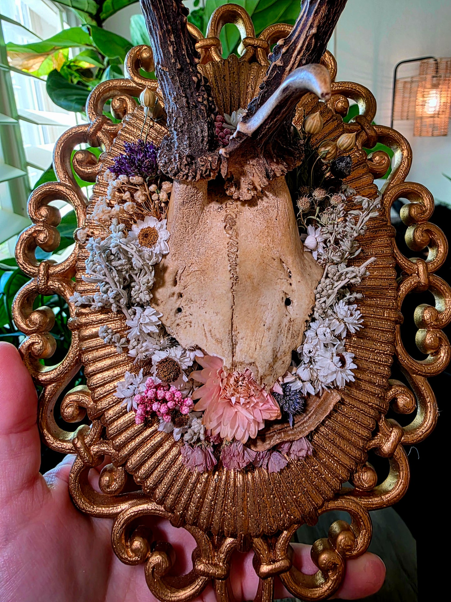 Real Roe Deer Antlers on Vintage Frame