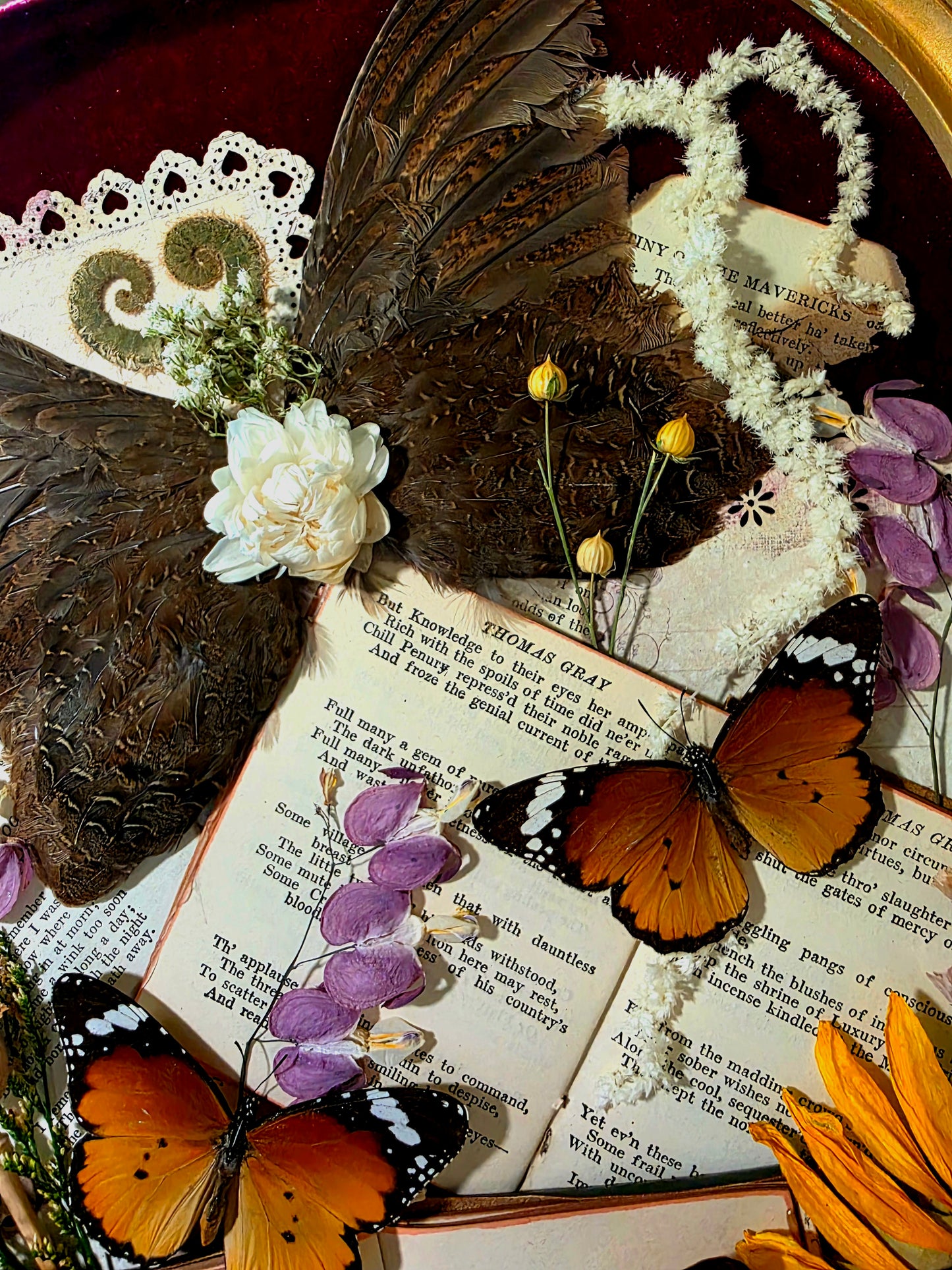 Dark Academia Butterfly and Wings Frame