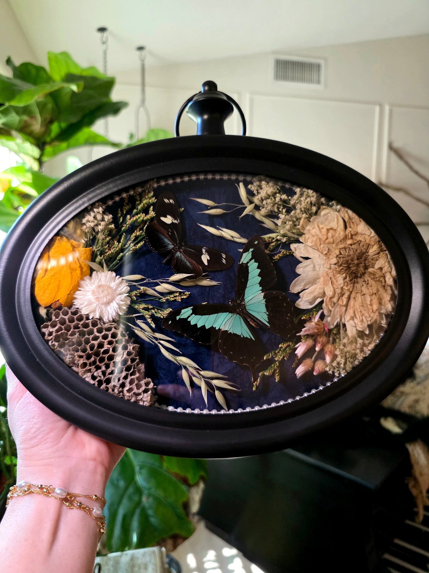 Clock Frame with Butterflies and Wasp Nest