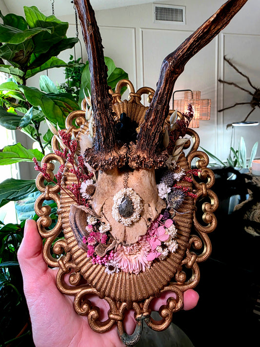 Real Roe Deer Antlers with Gemstone on Vintage Frame
