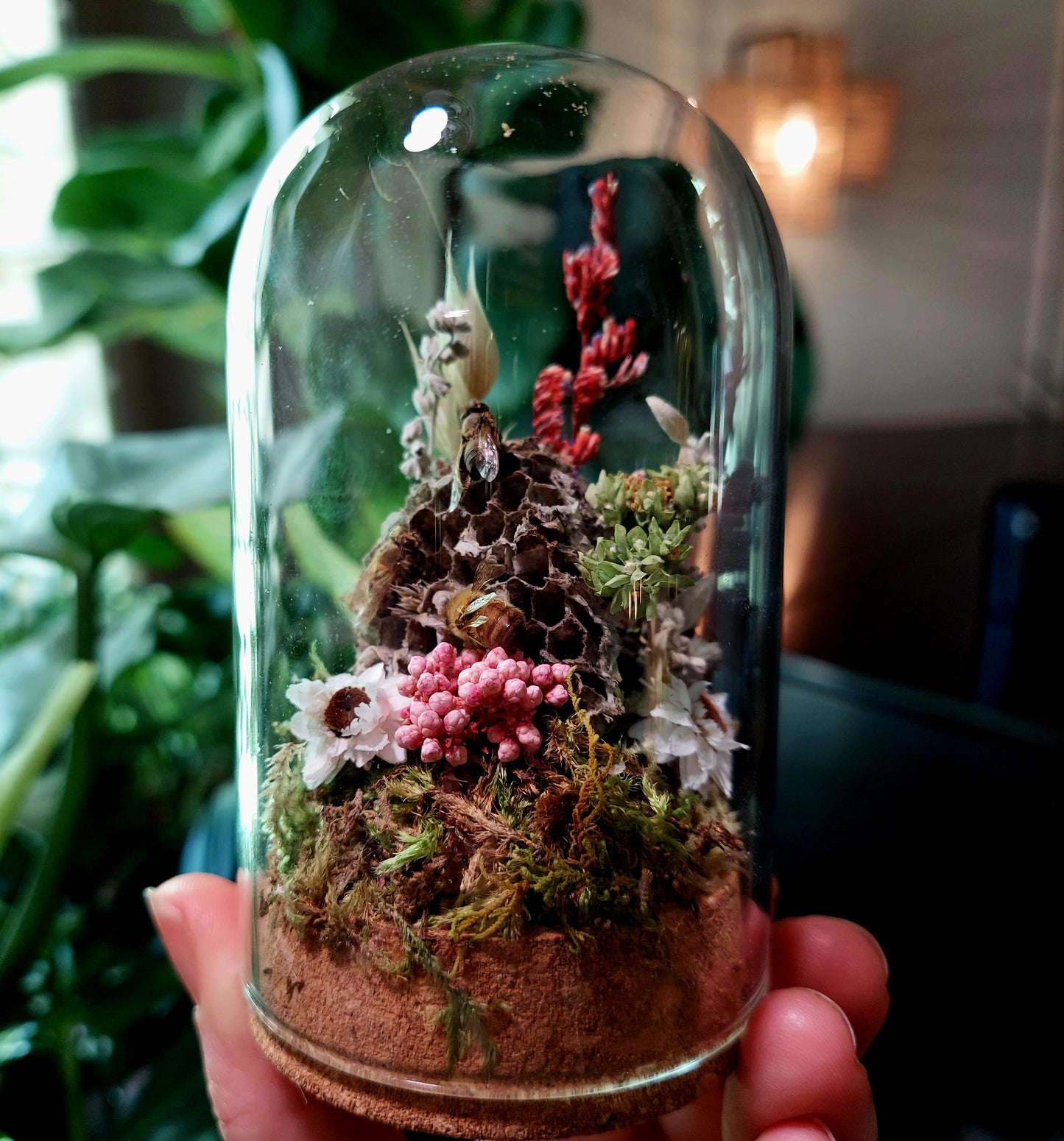Mini Glass Terrarium with Real Honey Bees and Paper Wasp Nest