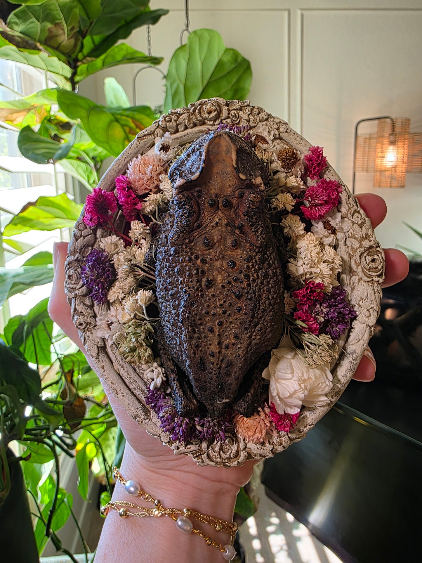 Real Preserved Toad in Vintage Frame