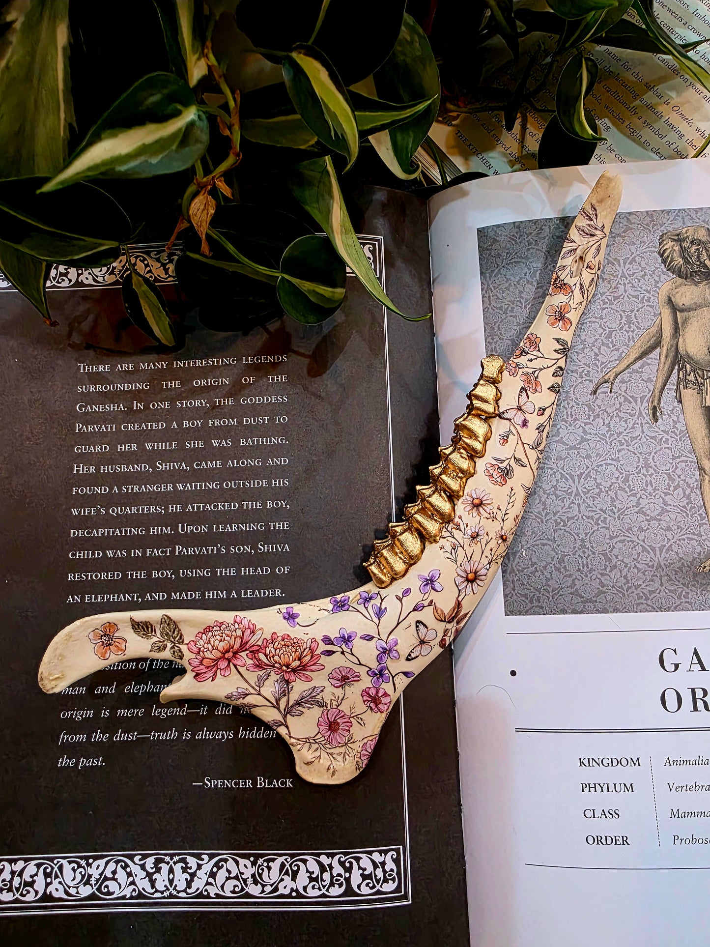 Decorative Deer Jaw Bone (A)