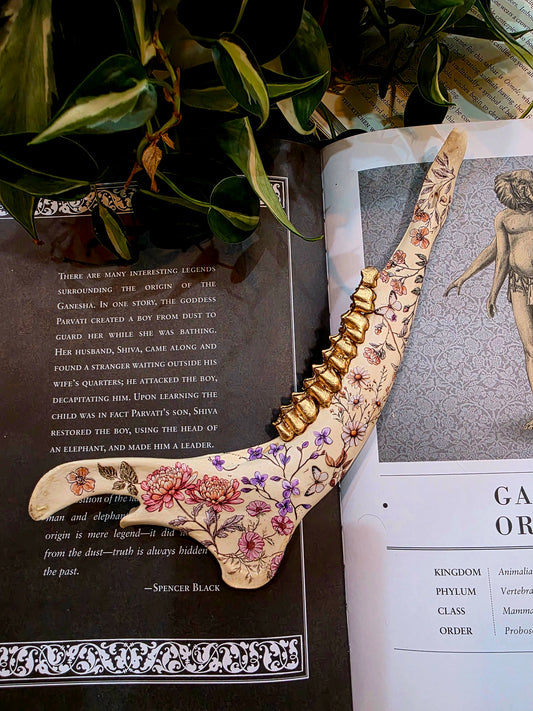 Decorative Deer Jaw Bone (A)