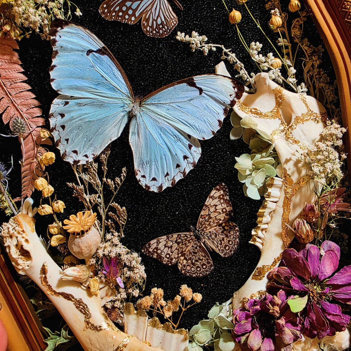 Vintage Frame with Deer Jaw Bones and Butterflies