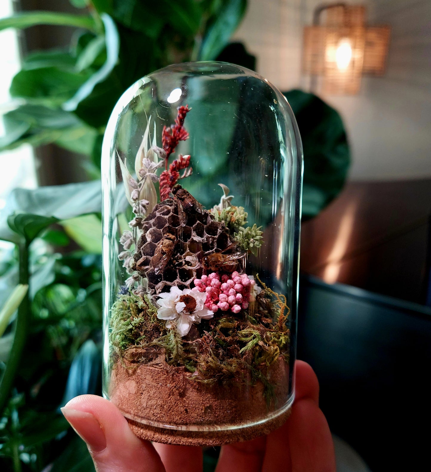 Mini Glass Terrarium with Real Honey Bees and Paper Wasp Nest